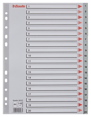 Esselte Register PP A4 1-20 šedé