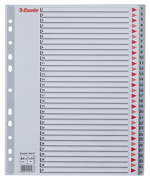 Esselte Register PP A4 maxi 1-31 šedý
