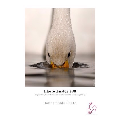 Hahnemühle Photo Luster 290 g/m² - 24" x 30 metrů